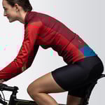 Anatomic Fit